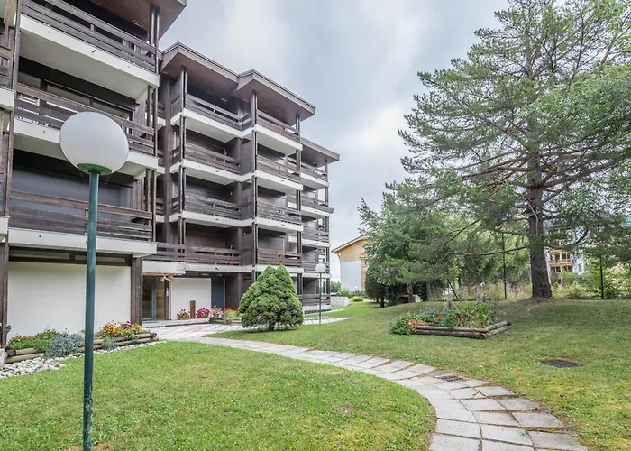 Capucines - Welkeys موجوف